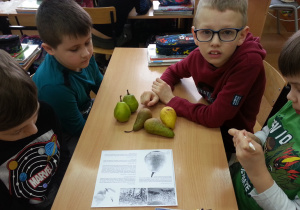 Uczniowie klasy IIa poznają owoce
